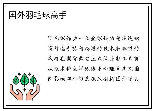 国外羽毛球高手