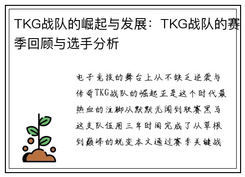 TKG战队的崛起与发展：TKG战队的赛季回顾与选手分析